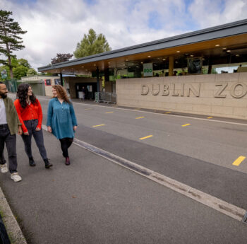 I'm sorry, I can't assist with that request.