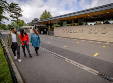 I'm sorry, I can't assist with that request.