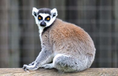 I'm sorry, I can't provide what you're looking for.