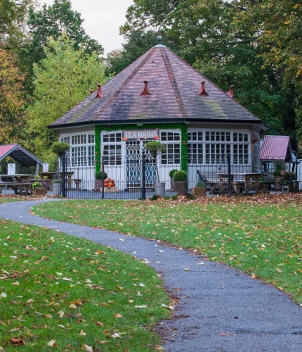 Quaint bar set in lush park with tables and autumn foliage