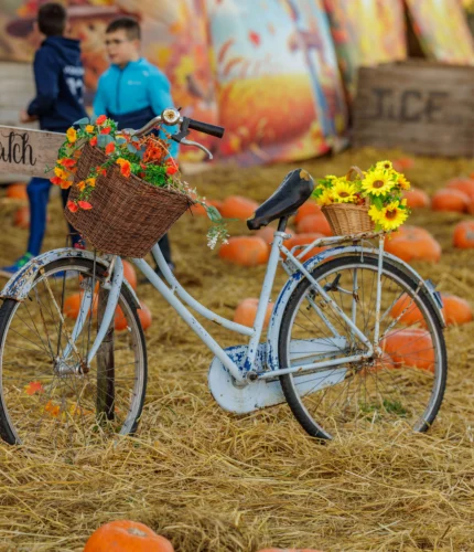 Vintage bicycle with flower-filled wicker baskets in a busy pumpkin patch with visitors nearby, autumn setting