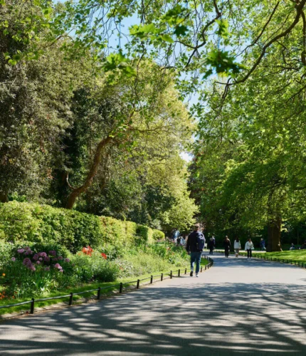 People walking and relaxing in a sunlit leafy park pathway.