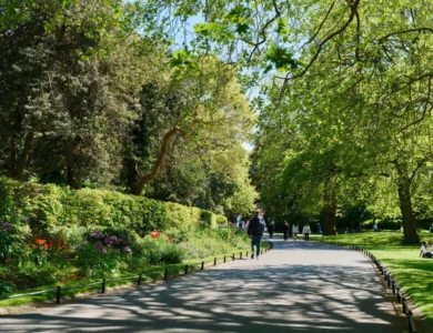 Sunny tree‑lined park path with visitors strolling and sitting on grass, colourful flowerbeds and dappled shade